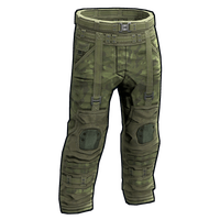 Forest Raiders Pants