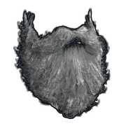 Santa Beard