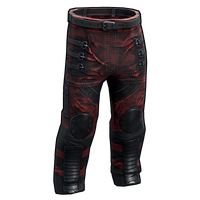 Tactical Pants