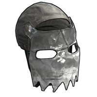 Stainless Facemask