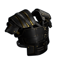 Black Gold Vest