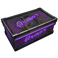 Neon Armor Storage