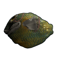 Fish Rock