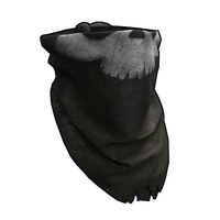 Pirate Bandana