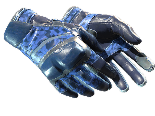 ★ Moto Gloves | Polygon (Field-Tested)